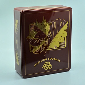 Luxury big and small size hanged can tin packaging boxes