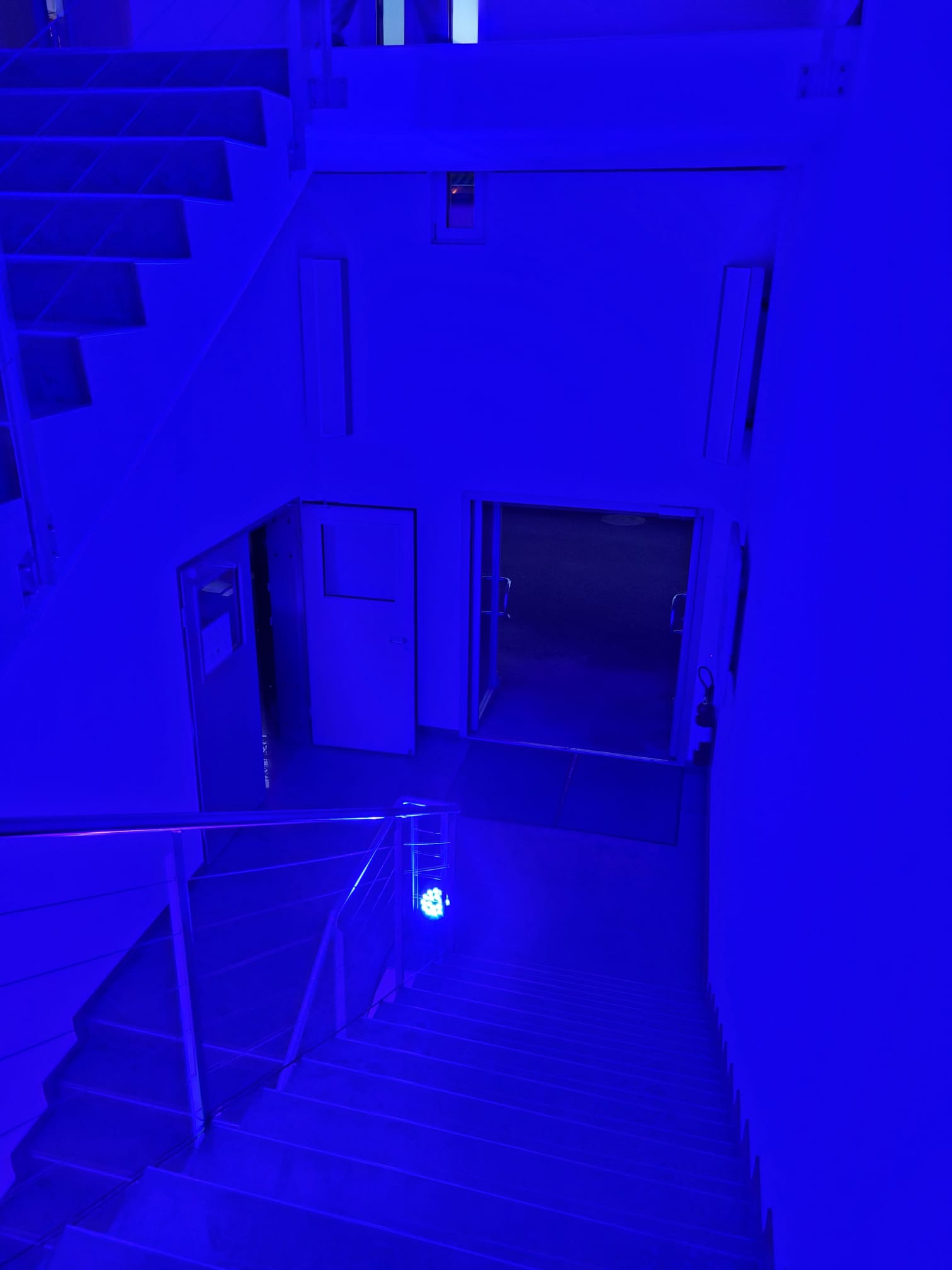 www.bluesealighting.com