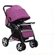 walkers carriers