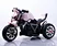 electric 3 wheels motorbike