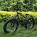 Cruiser bike