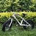 Cruiser bike