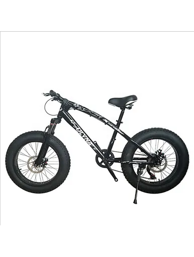 Cruiser bike