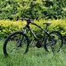 Cruiser bike