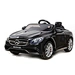 12 v battery powered car