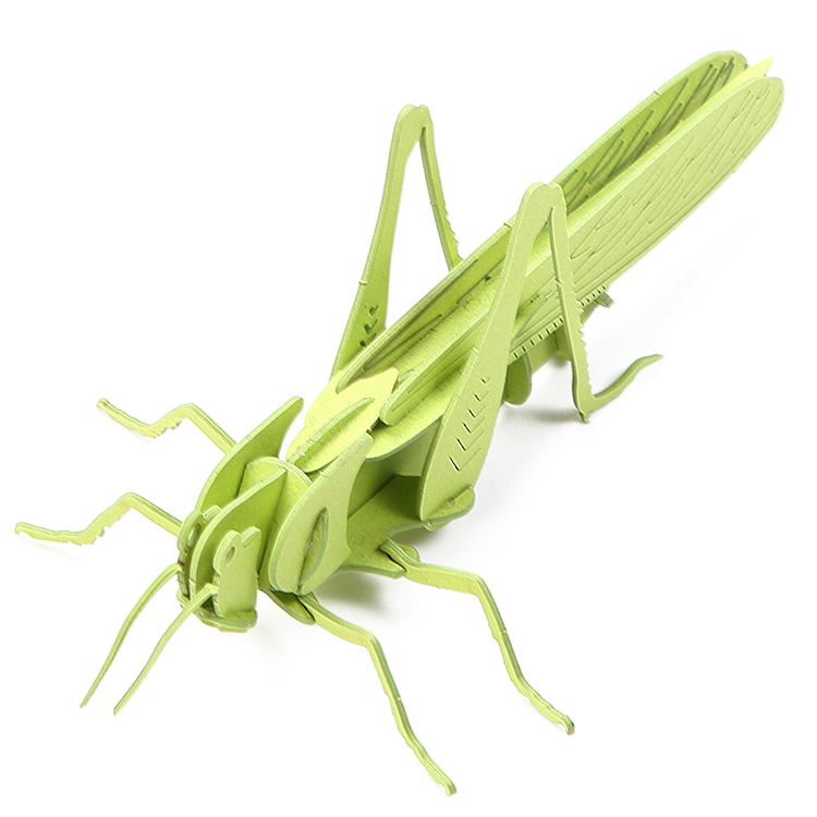 3d Paper Insect Models Diy toy insect 3d grasshopper paper puzzles model