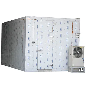 shrimp,flower,beef cold storage/cold room/Store