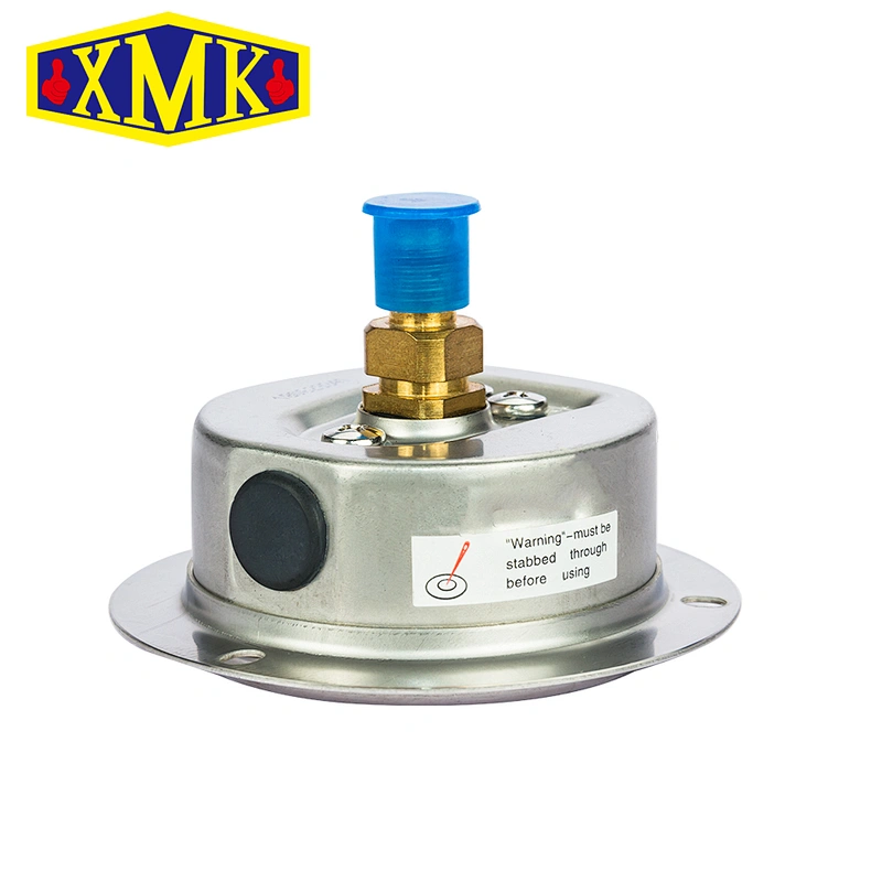 Bury Type Oil Liquid Filling Pressure Gauge