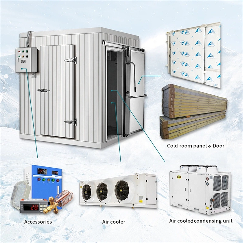 Fish cold storage freezer room cold storage
