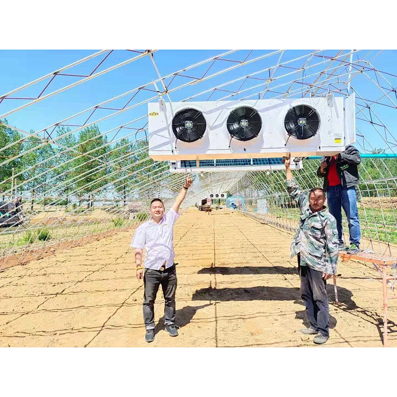 Refrigeration storage for mushroom growing room strawberry greenhouse cold storage room