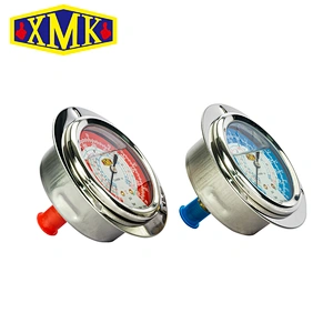 Bury Type Oil Liquid Filling Pressure Gauge