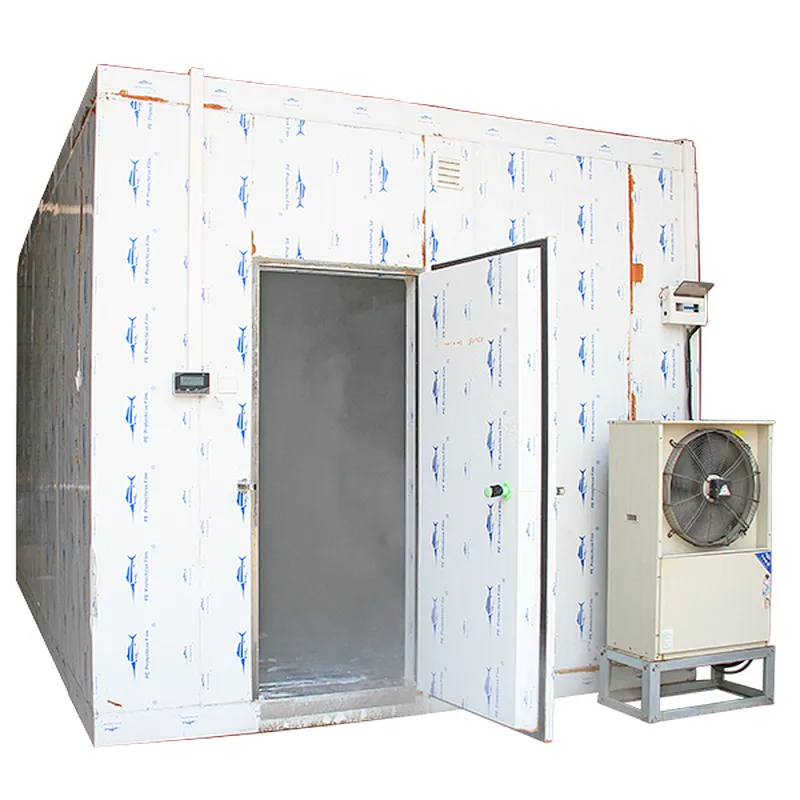 Stainless steel solar commercial ice cream storage cold room/freezer room