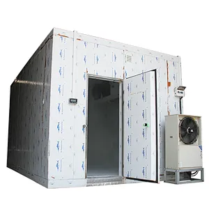 frozen beef Cold storage room