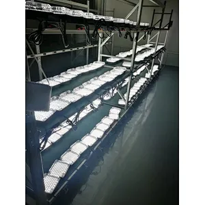 20w Waterproof Square led light lamp for cold storage room