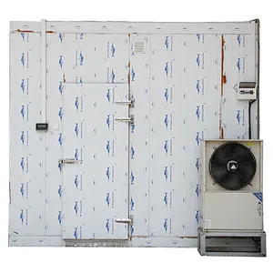 Stainless steel solar commercial ice cream storage cold room/freezer room