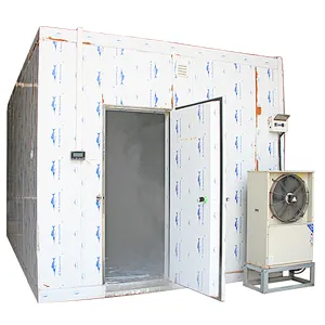 cold room/store for fish