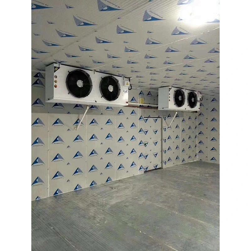 -5C to 5C high temperature cold room vegetable fruit cold storage refrigeration