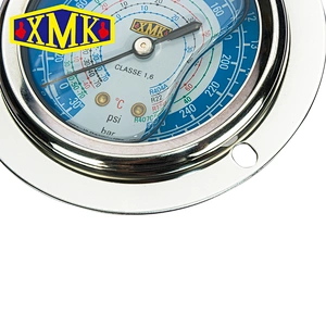 Bury Type Oil Liquid Filling Pressure Gauge