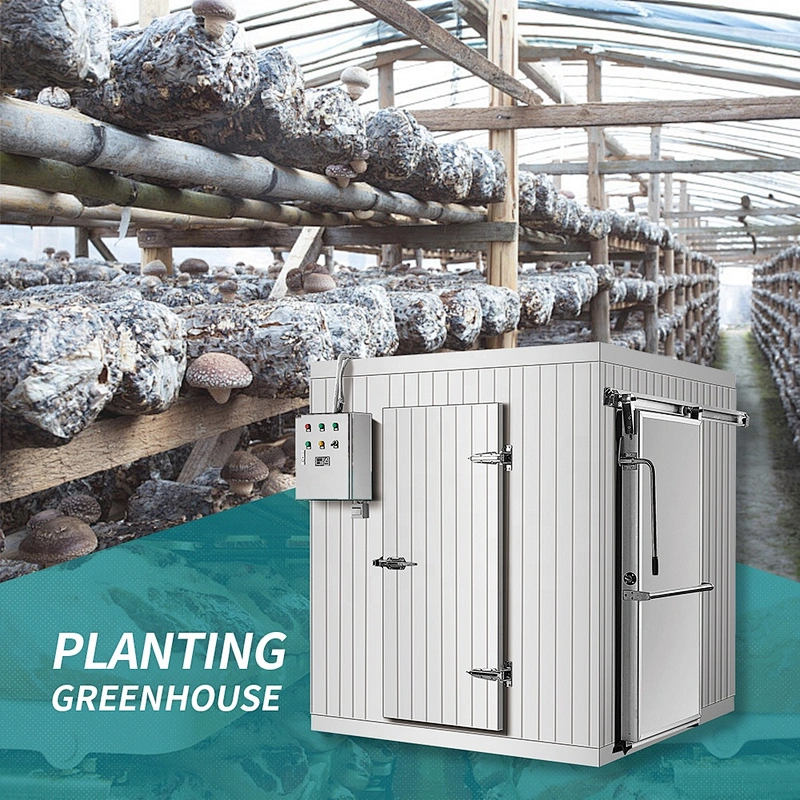 Refrigeration storage for mushroom growing room strawberry greenhouse cold storage room