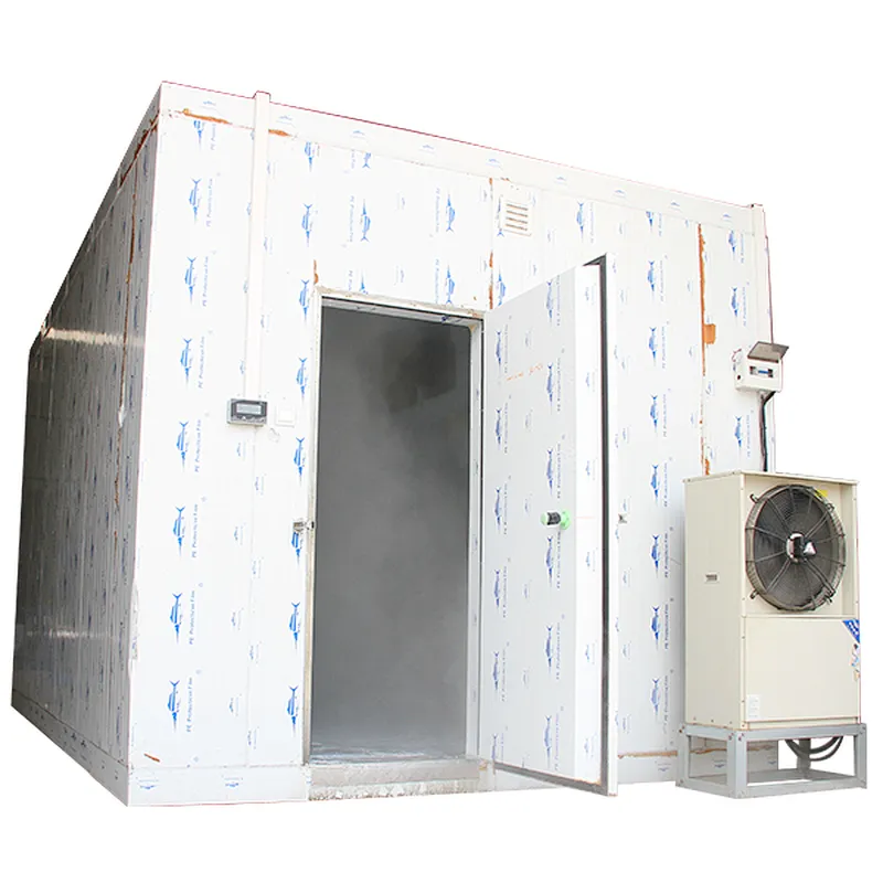 Stainless steel solar commercial ice cream storage cold room/freezer room
