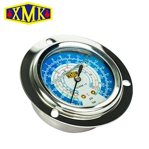 Bury Type Oil Liquid Filling Pressure Gauge