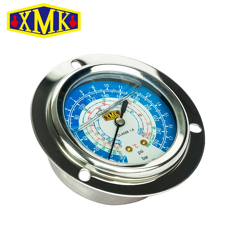 Bury Type Oil Liquid Filling Pressure Gauge