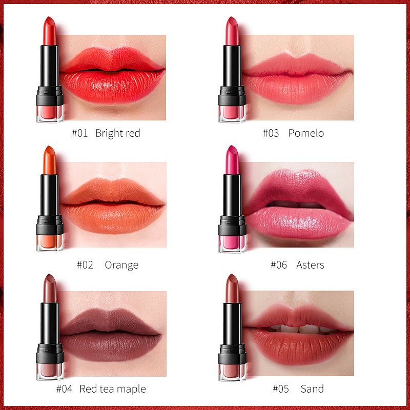 China Cheap Eco Friendly Long Lasting Red Waterproof Custom Cosmetic Liquid Private Label Lipstick
