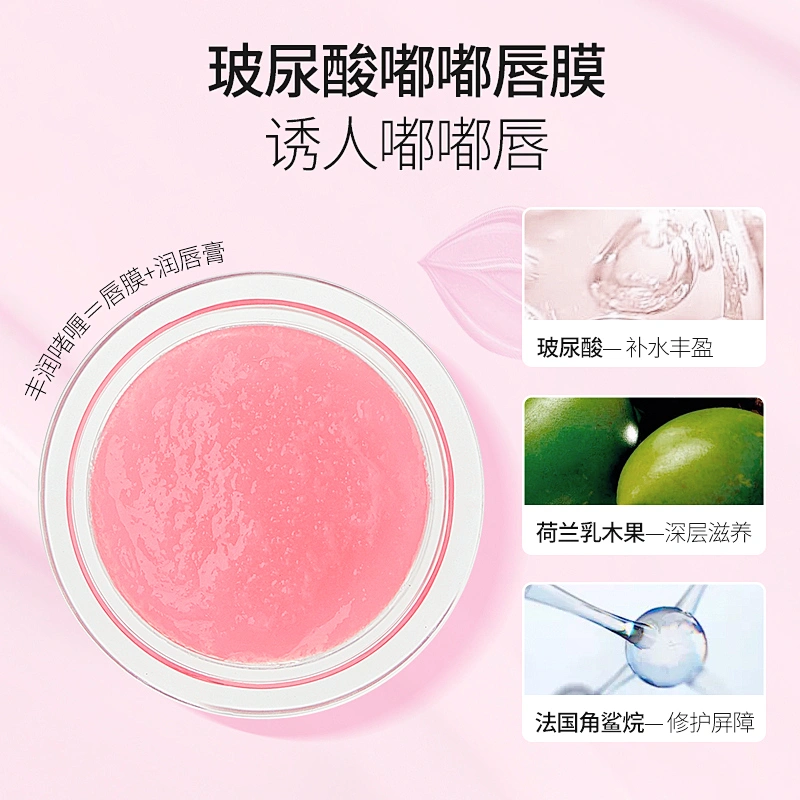 2 In 1 Private Label Vegan Organic Pink Lip Scrub Exfoliating Lightening Moisturizing Sleeping Lip Mask