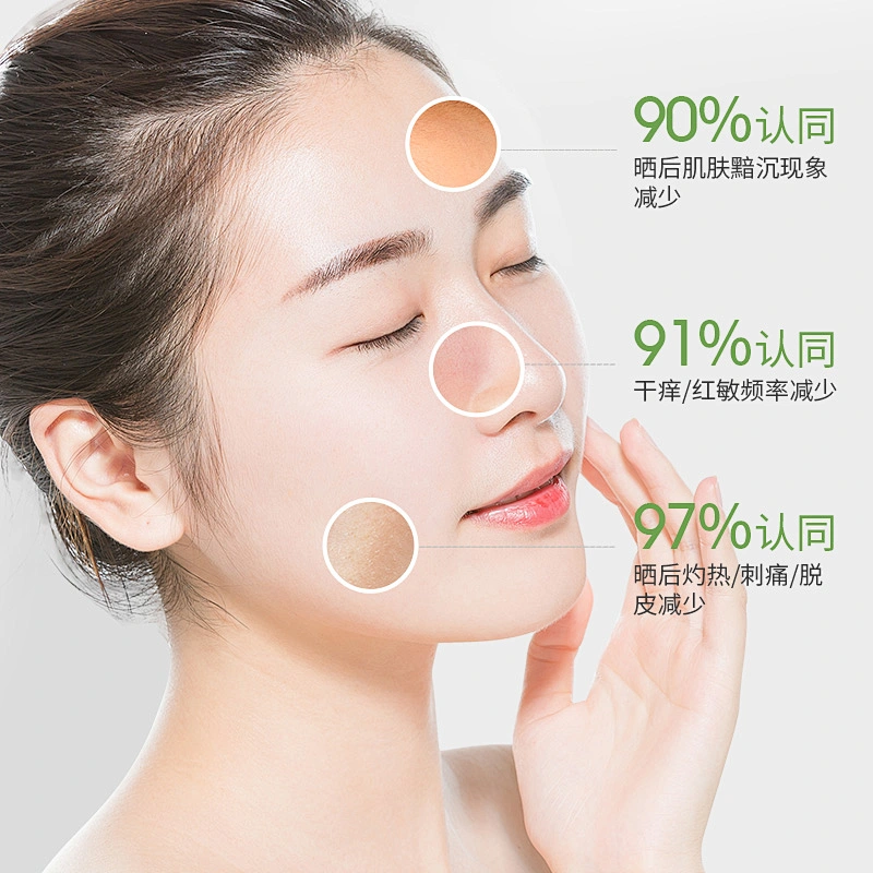 Private Label Beauty Repairing Hydrating Moisturizing Soothing Anti Acne Night Sleeping Gel  Aloe Vera Face Gel Mask