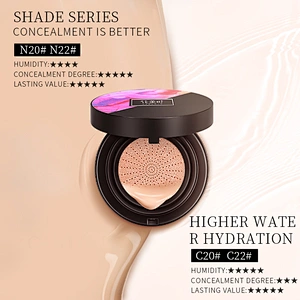 Custom Private Label Oem Oil Control Moisturizing Foundation Air Cushion BB Cream