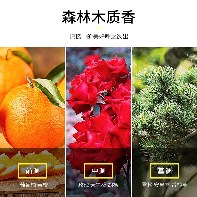 Cheap Price Wholesale Ginger Hair Color Natural Black Hair Shampoo