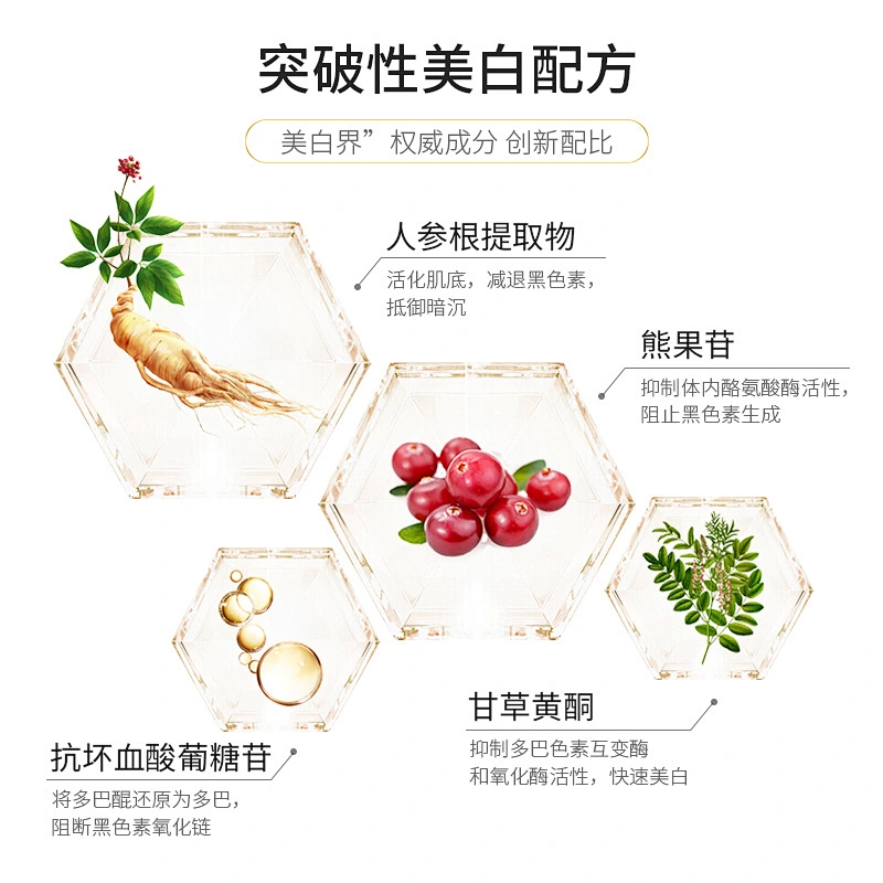 Wholesale Best Private Label Skin Care Full Set Skin Lotion Serum Whitening Skin Rejuvinating Set