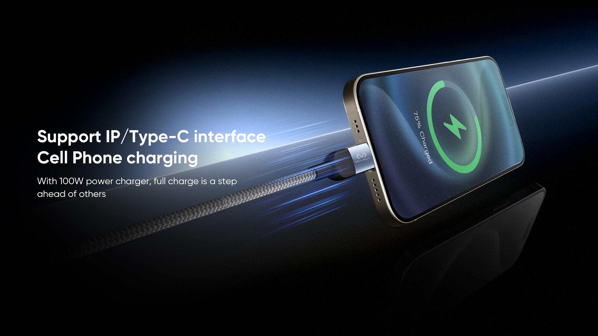 100w usb c charger cable
