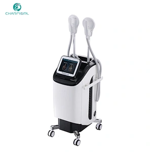 Vertical body emslim muscles bulid shape stimulate ultherapy hi-emt slimming machine