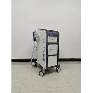 Chinese supplier build muscle body emsculpt machine for body slimming