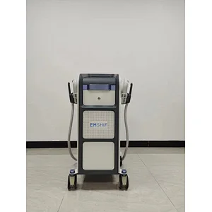 Chinese supplier build muscle body emsculpt machine for body slimming