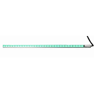 Step Lights