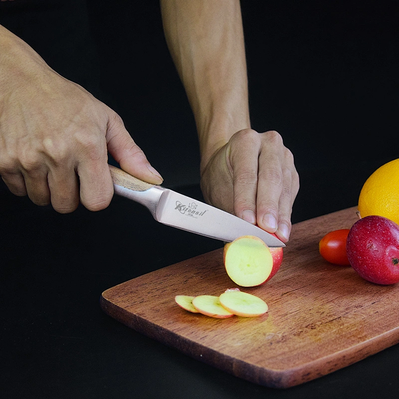 5-piece Stainless Steel Kitchen Knife Set with Beechwood Handle, Beechwood Block
