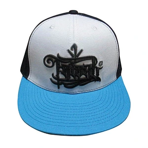 Custom design logo 3D embroidery snapback caps