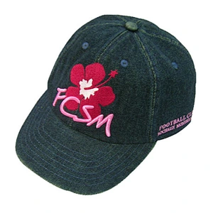 fashion 6 panel running caps with embroidery