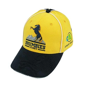 wholesale customize embroidery baseball caps and hats