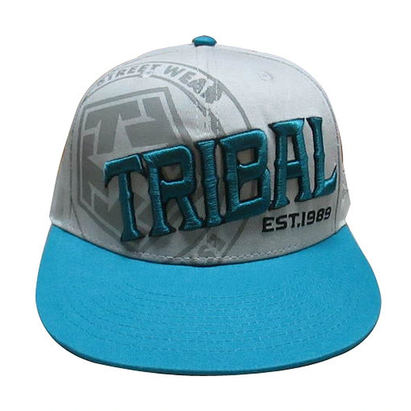Custom design logo 3D embroidery snapback caps