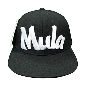 Custom design logo 3D embroidery snapback caps