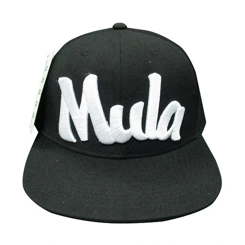 Custom design logo 3D embroidery snapback caps
