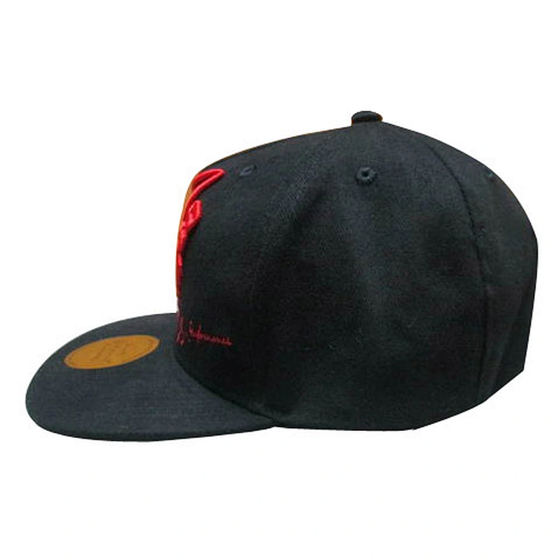 Custom design logo 3D embroidery snapback caps