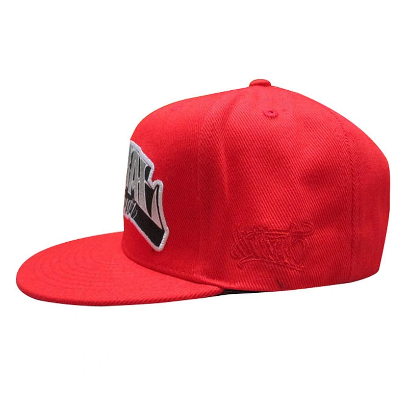 Custom design logo snapback caps with embroidery badge