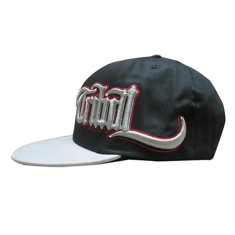 Custom design logo 3D embroidery snapback caps