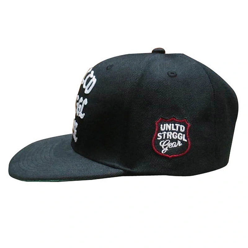 Applique embroidery snapback hat