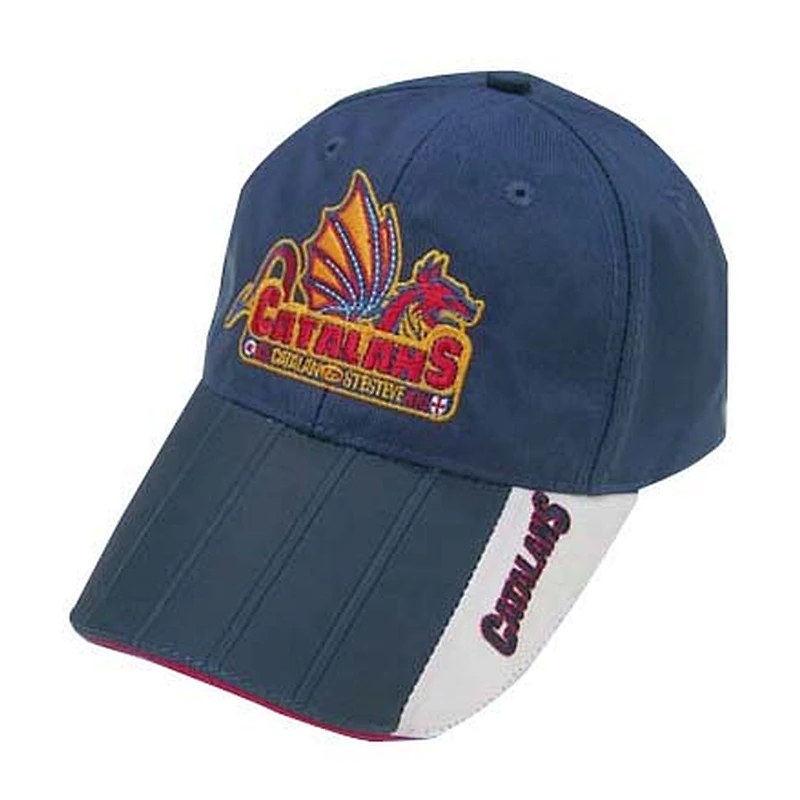 6 panel 100% heavy brushed cotton twill 6838 cap