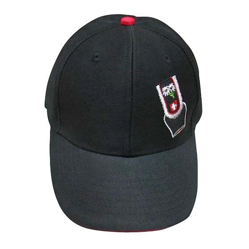 Fashion 6 panel sports cap with flat embroidery